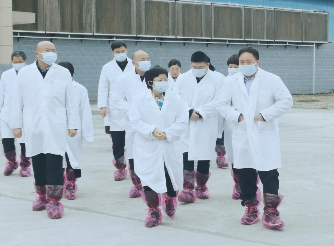 河南省郑州市人民政府副市长李凤芝一行莅临OD（中国）一站式服务平台河南瑞亚参观调研