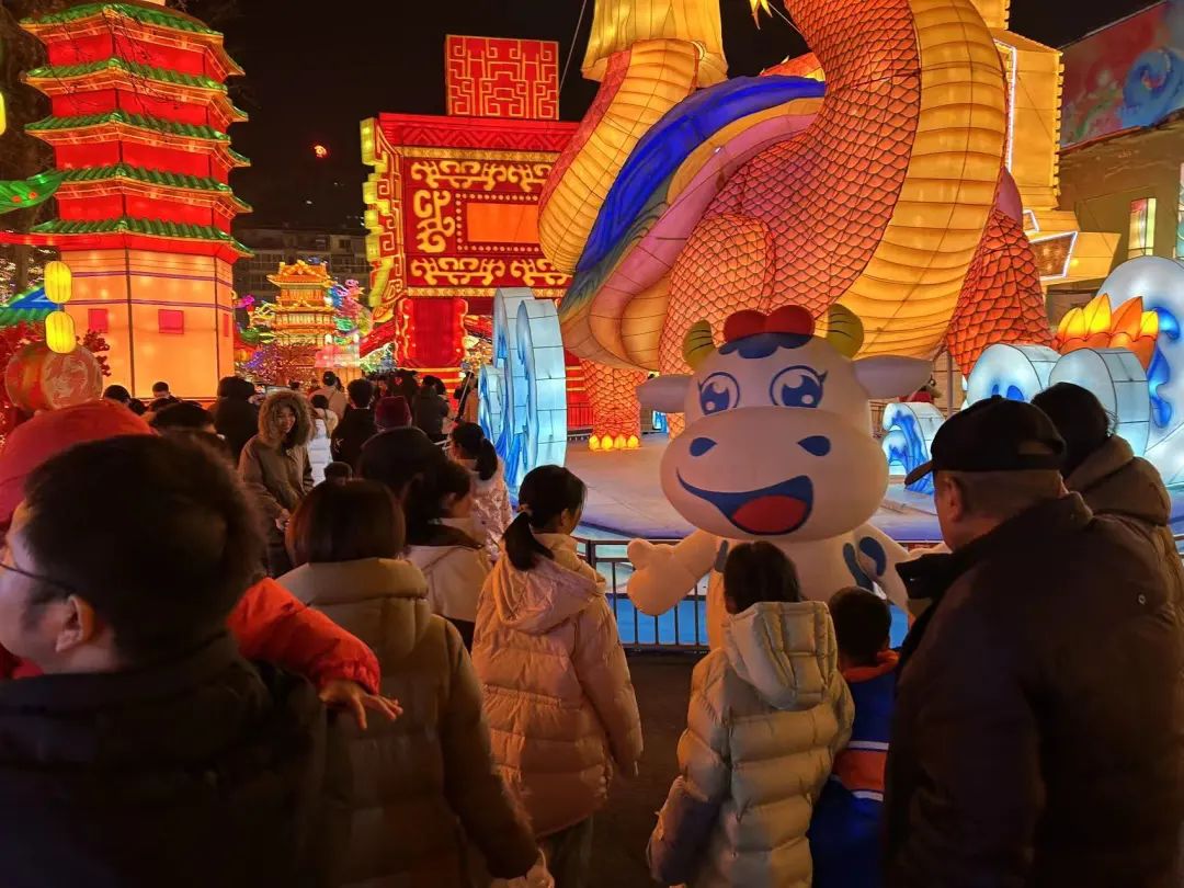 央视直播郑州龙年灯会迎新春，OD（中国）一站式服务平台品牌上大分