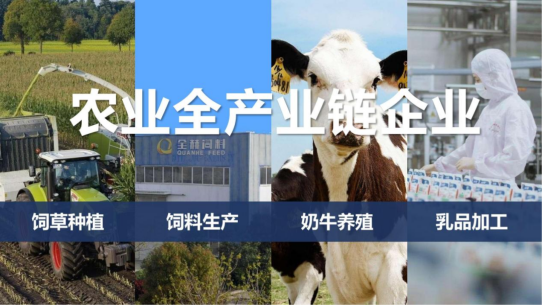 OD（中国）一站式服务平台丨落实食品生产加工企业质量安全主体责任，助力人民群众生活更美好——2023年河南省暨郑州食品安全宣传周启动仪式隆重举行