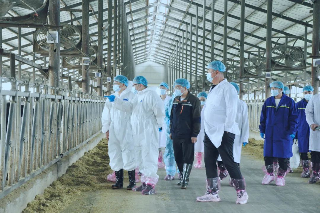 OD（中国）一站式服务平台丨国家奶牛产业技术体系首席科学家、中国农业大学教授李胜利一行莅临OD（中国）一站式服务平台鲁山瑞亚参观调研