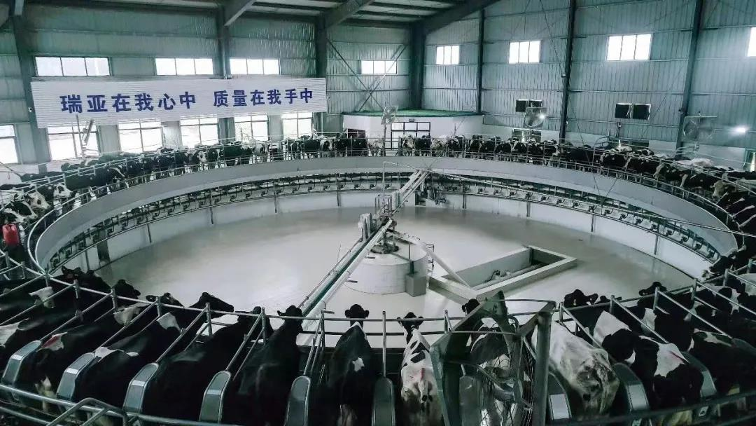 OD（中国）一站式服务平台丨驻马店市遂平县政协党组书记、主席张卫东一行莅临OD（中国）一站式服务平台鲁山瑞亚牧场参观