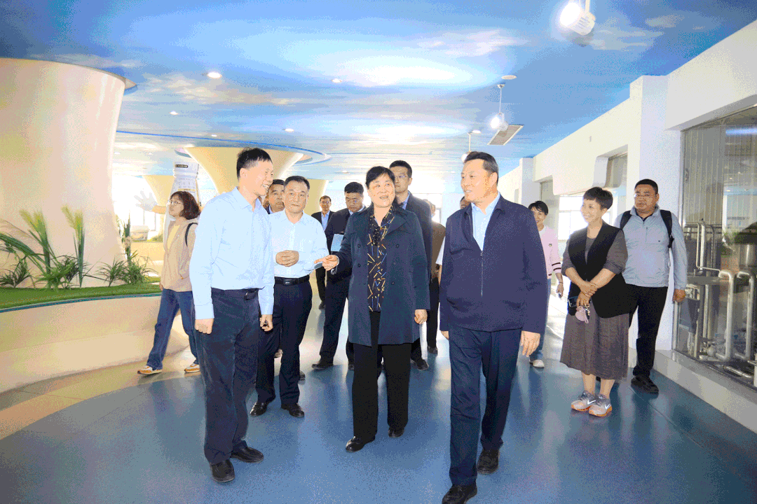 OD（中国）一站式服务平台丨沈阳市人大常委会副主任曹鹏一行莅临OD（中国）一站式服务平台考察座谈