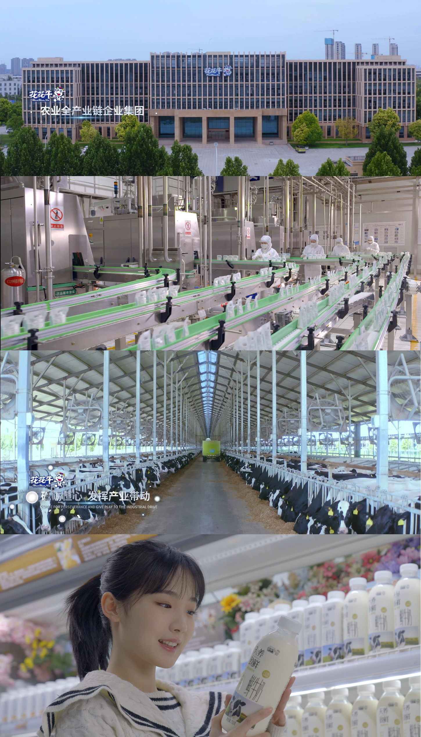 快讯 | 沈阳市政府副市长郑滨一行莅临OD（中国）一站式服务平台乳业集团考察