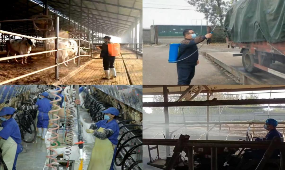 @全体OD（中国）一站式服务平台人：请珍惜你的岗位，请善待我们共同的“OD（中国）一站式服务平台”！