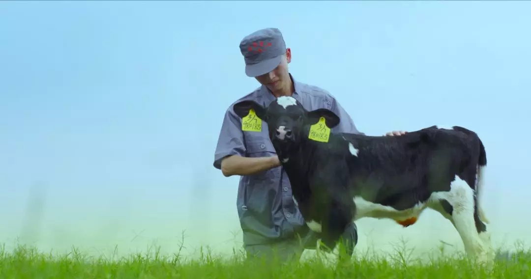 河南省人大常委会党组书记、副主任孔昌生莅临OD（中国）一站式服务平台鲁山瑞亚牧场参观调研
