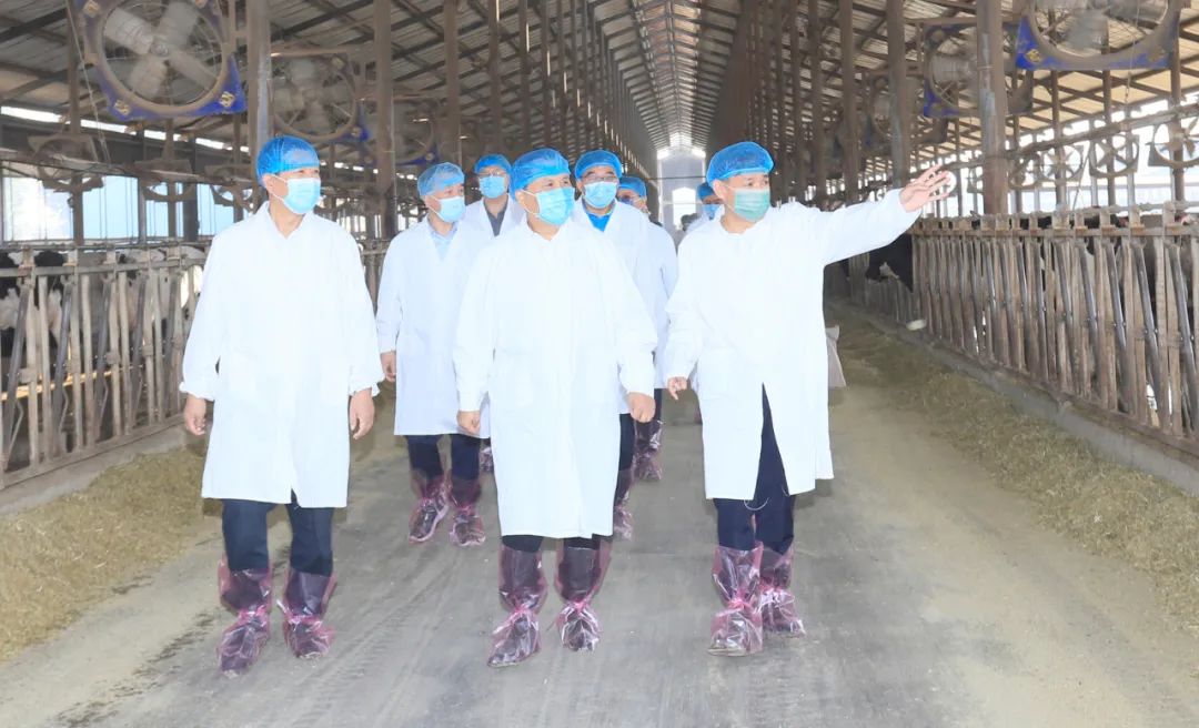 快讯丨河南省人民政府副省长武国定莅临OD（中国）一站式服务平台乳业集团瑞亚牧业调研奶源基地建设情况