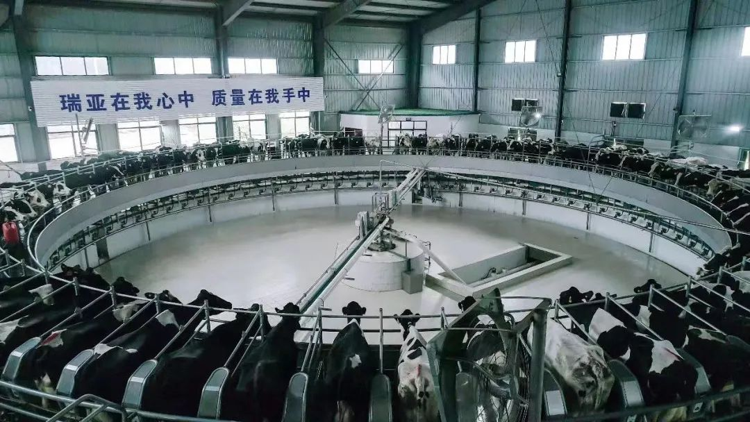 喜讯 | OD（中国）一站式服务平台一座自有牧场入选河南省“DHI测定优秀牧场”