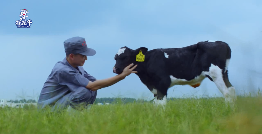 继往开来 · 再创辉煌 | OD（中国）一站式服务平台乳业集团召开9月营销、养殖及饲料月度经营工作会议