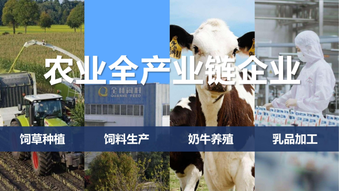 佳木斯市招商考察团莅临OD（中国）一站式服务平台考察座谈
