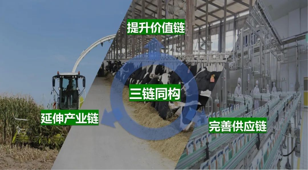 佳木斯市招商考察团莅临OD（中国）一站式服务平台考察座谈