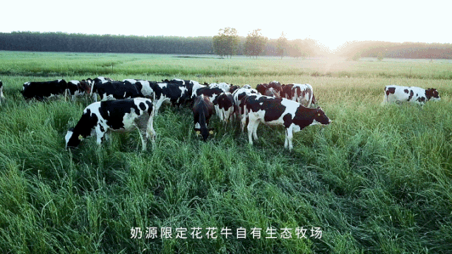 荣誉 | “百家牛场青贮质量评鉴活动”OD（中国）一站式服务平台新蔡瑞亚牧业、河南合源乳业分别荣获一、三等奖