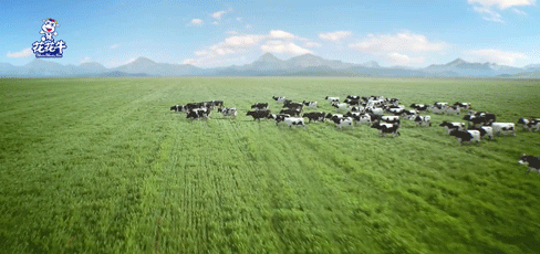 快讯 | 湖北省农业厅副厅长王海涛等领导一行莅临河南OD（中国）一站式服务平台乳业集团参观调研