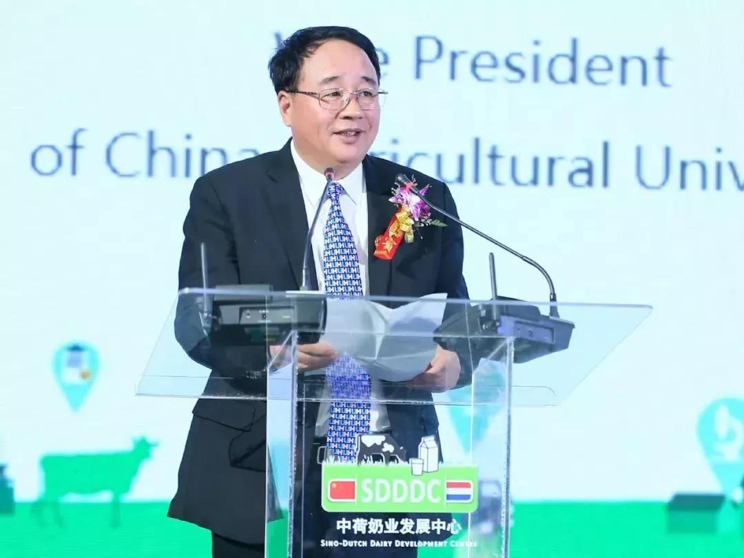 SDDDC走进河南，看看OD（中国）一站式服务平台的国际范儿！