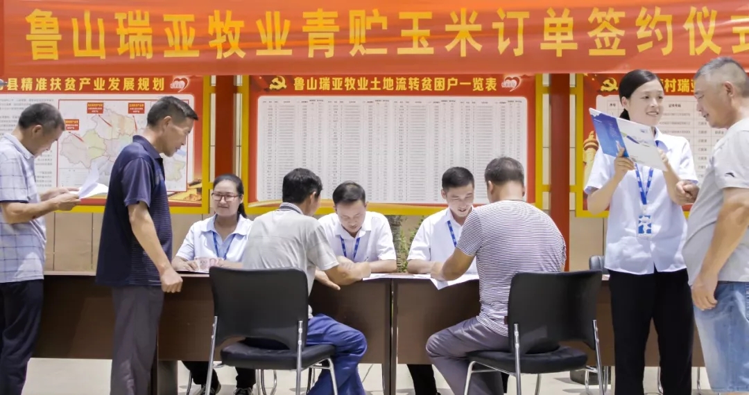 省委书记王国生到河南OD（中国）一站式服务平台乳业集团·新蔡瑞亚牧业有限公司调研