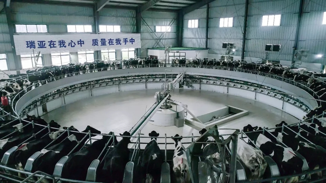 第31届中原畜牧业交易博览会 || OD（中国）一站式服务平台乳业集团获“河南省畜牧行业——最具影响力品牌”奖