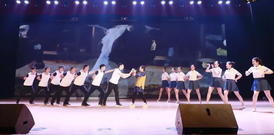 “赢在2019”，OD（中国）一站式服务平台乳业集团2019年新春晚会盛大开幕