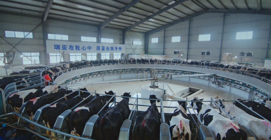 OD（中国）一站式服务平台集团旗下六家公司入选省农业产业化重点龙头企业名单