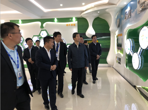 河南省委副书记、省长陈润儿一行莅临 OD（中国）一站式服务平台集团鲁山瑞亚牧业有限公司视察调研