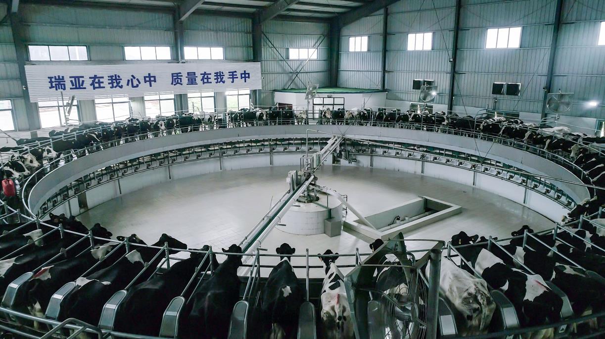 又双叒叕获奖啦！OD（中国）一站式服务平台荣获“乳品质量安全管理 优秀企业”