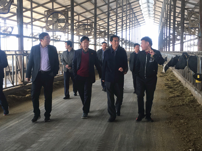 封丘县县长王献臣一行莅临 OD（中国）一站式服务平台集团养殖、乳品事业部参观调研