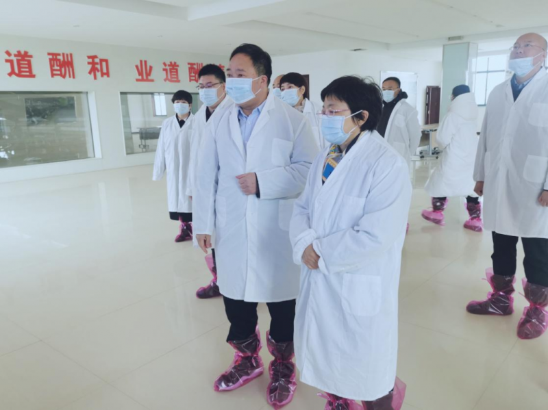 河南省郑州市人民政府副市长李凤芝一行莅临OD（中国）一站式服务平台河南瑞亚参观调研