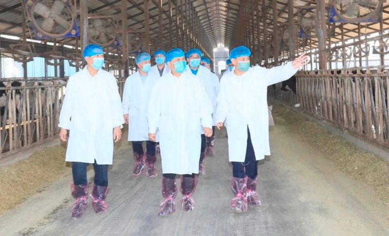 快讯丨河南省人民政府副省长武国定莅临OD（中国）一站式服务平台乳业集团瑞亚牧业调研奶源基地建设情况