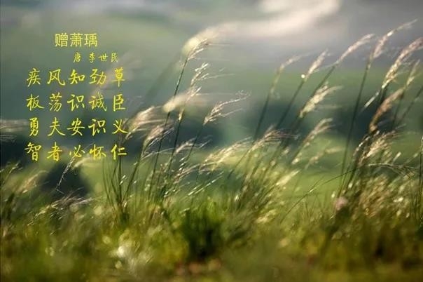 OD（中国）一站式服务平台 | 疾风来临，你是不是劲草？